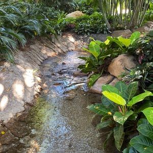 Meet your Posher, Kyrie